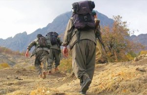 Təslim olan PKK-çı: “Ermənilərə kömək üçün Qarabağa əlavə qüvvələr göndərildi”